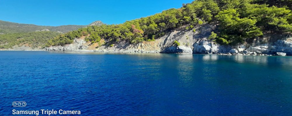 Dalyan Bacardi Tekne Turu 15 dalyan-bacardi-tekne-turu (4)