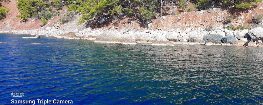 dalyan-iztuzu-sultaniye-koycegiz-tekne-turu (2)