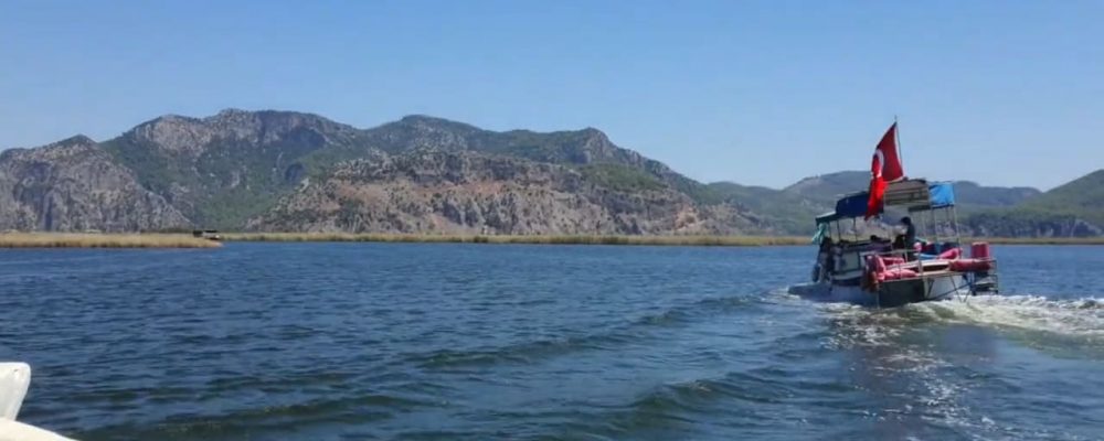 dalyan kargicak tekne turu (10)