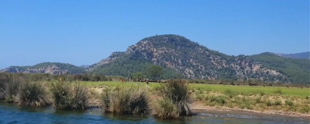 dalyan kargicak tekne turu (8)