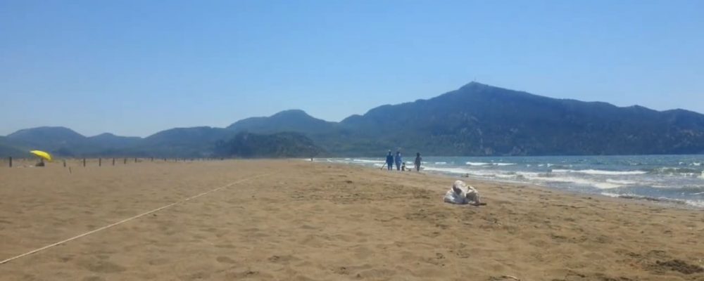 dalyan kargicak tekne turu (9)