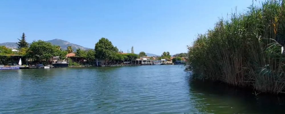 dalyan nehri tekne turu (3)