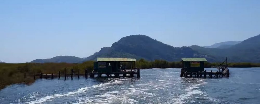 dalyan nehri tekne turu (6)
