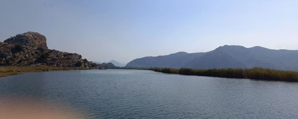 dalyan yengeç turu (2)
