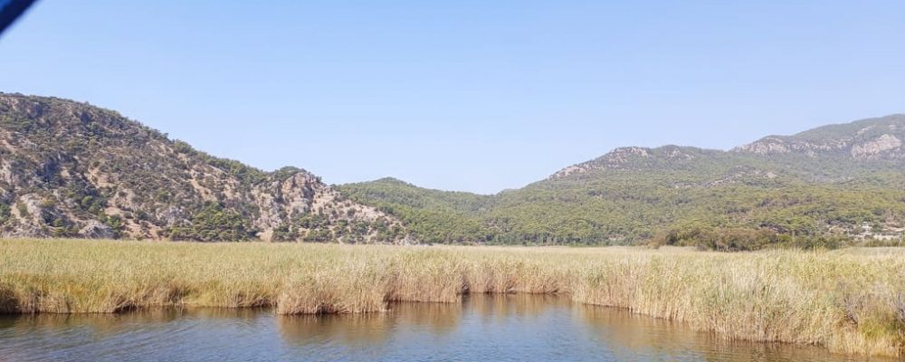 dalyan yengeç turu (3)