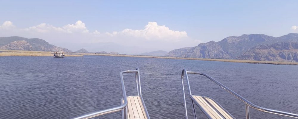 dalyan yengeç turu (4)