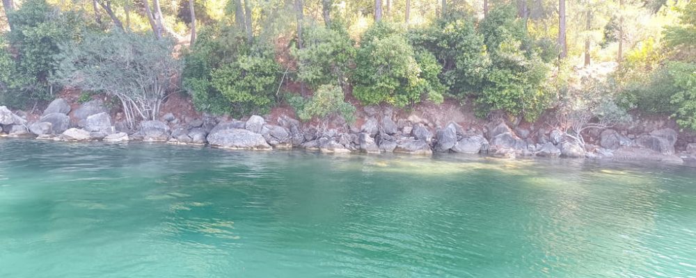 dalyan yengeç turu (7)
